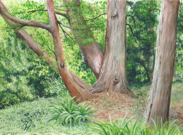 Baumgruppe mit Buschwerk im Park bei Coleton Fishacre, Acryl auf Hahnemühle, 21x30cm