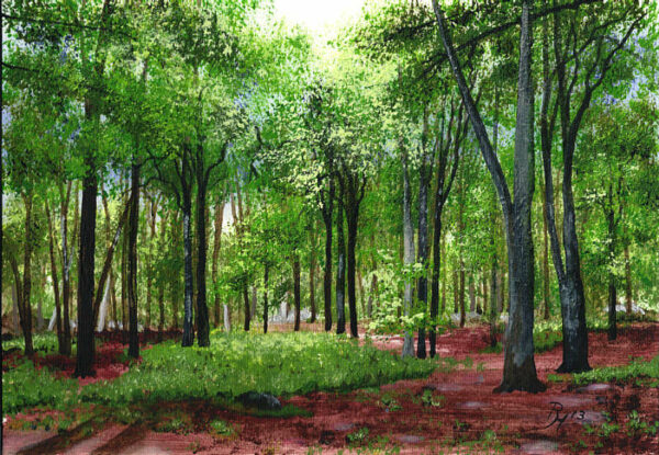 Waldstück in der Sommersonne, Acryl auf Hahnemühle, 17x25cm