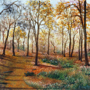 Wald im Herbst bei Sonnenschein, Acryl auf Hahnemühle, 17x25cm