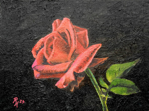 Rose 18x24, Acryl auf Malkarton